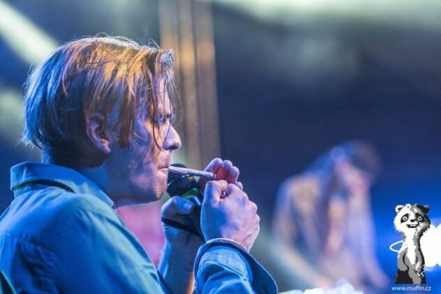 muffin open air festival fb