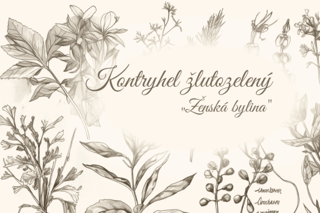 Kontryhel žlutozelený