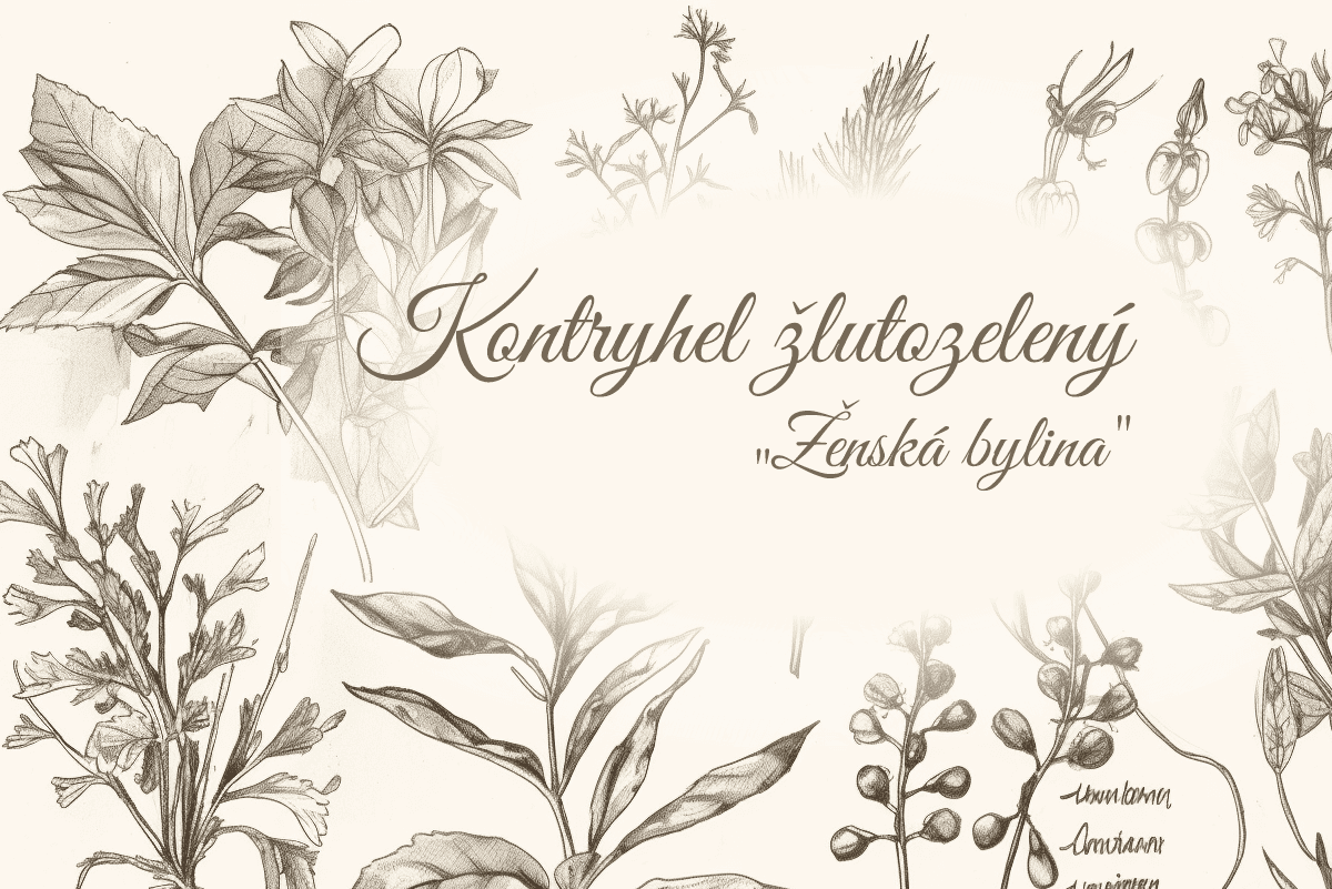 Kontryhel žlutozelený