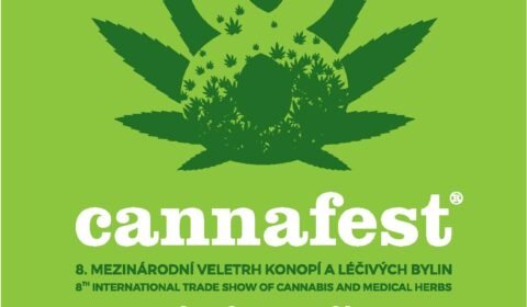 cannafest