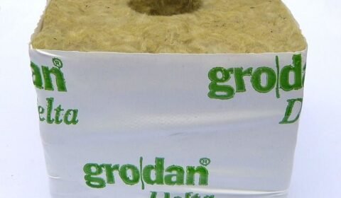 rockwool kostka grodan