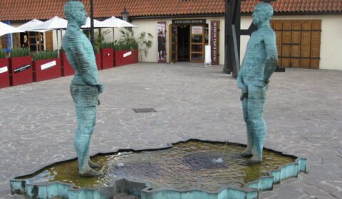 sousosi curajicich panu