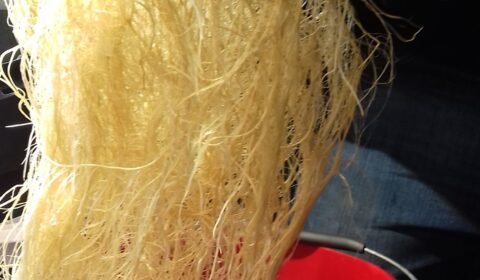 Limon3 e1520376437659