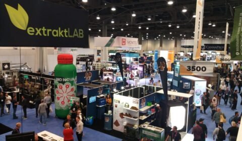 WhatsApp Image 2018 12 02 at 18.52.57 1