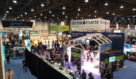 WhatsApp Image 2018 12 02 at 18.52.58