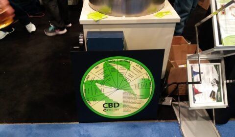 WhatsApp Image 2018 12 02 at 18.53.02 1