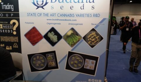 WhatsApp Image 2018 12 02 at 18.53.03