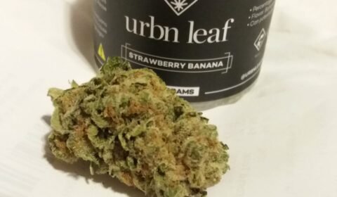 WhatsApp Image 2018 12 02 at 18.49.55