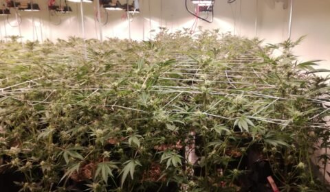 WhatsApp Image 2018 12 04 at 23.38.48