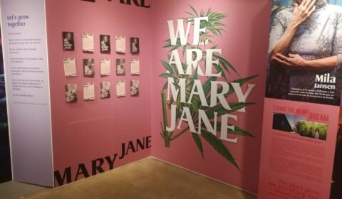 Sensi Seeds muzeum women in cannabis