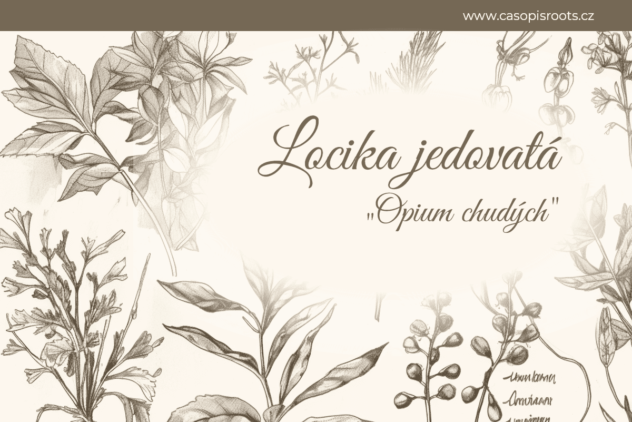 locika jedovatá