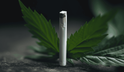 CBD snižuje chuť na cigarety