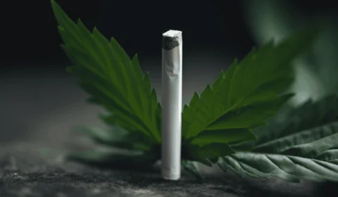 CBD snižuje chuť na cigarety