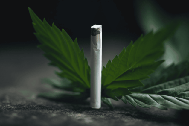 CBD snižuje chuť na cigarety