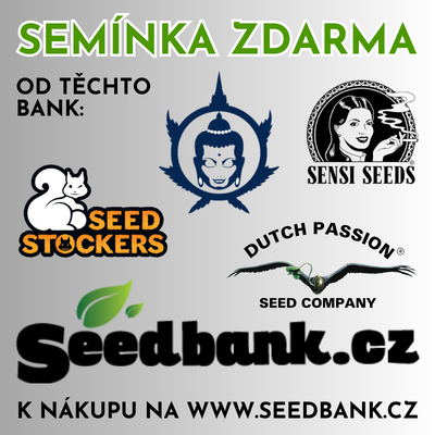 seedbank -30%