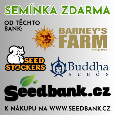 seedbank -30%