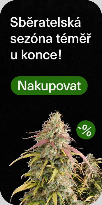 cz konec sezony 300x600 1