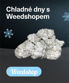 weedshop 250x300