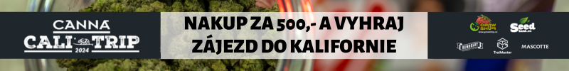 CALI TRIP - call to action na GS 800x100