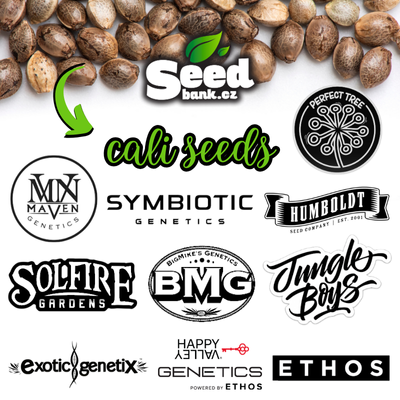 SEEDBANK - americke seedbanky 400x400